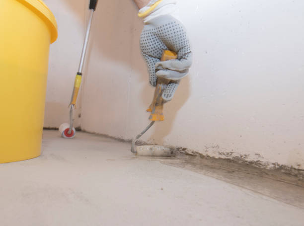 Best Fumigation Services  in Arabi, LA